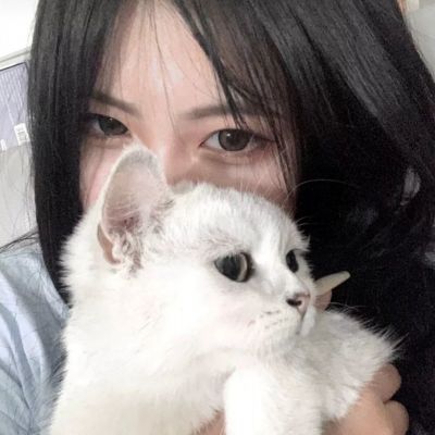 忍者萌剑传百度版下载