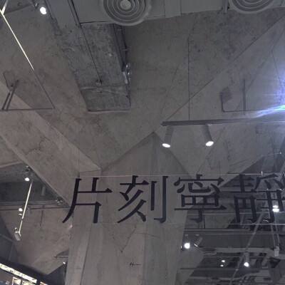 灵宠进化师手游下载